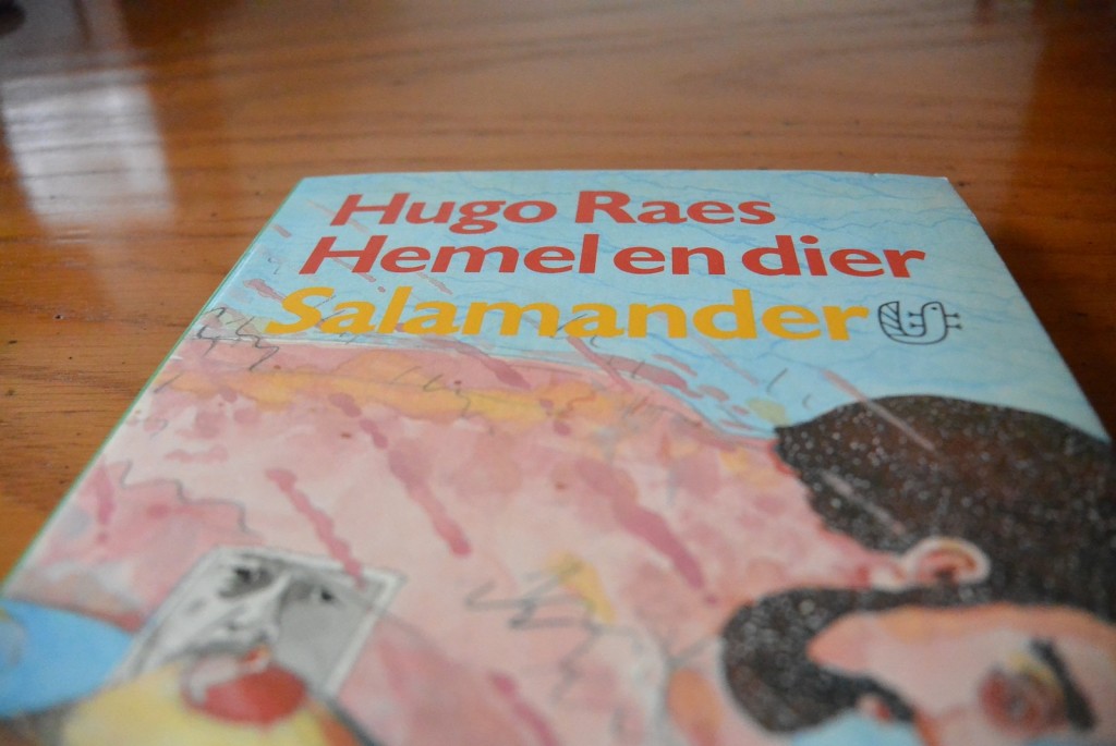 Cover van het boek Hemel en dier, van Hugo Raes