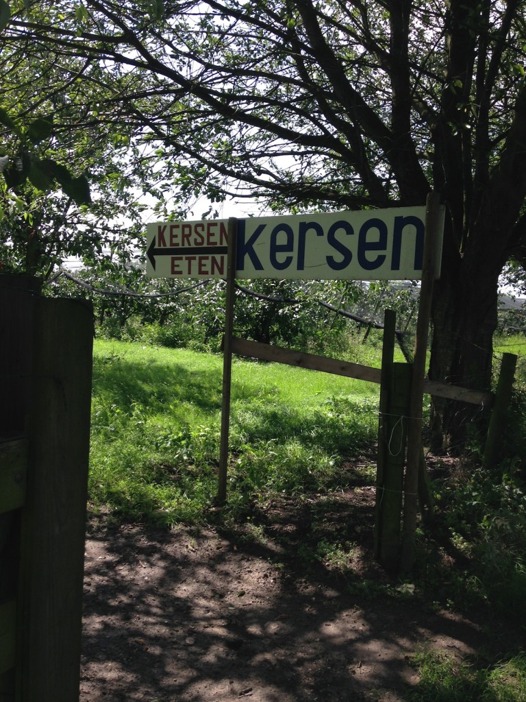 Kersen eten