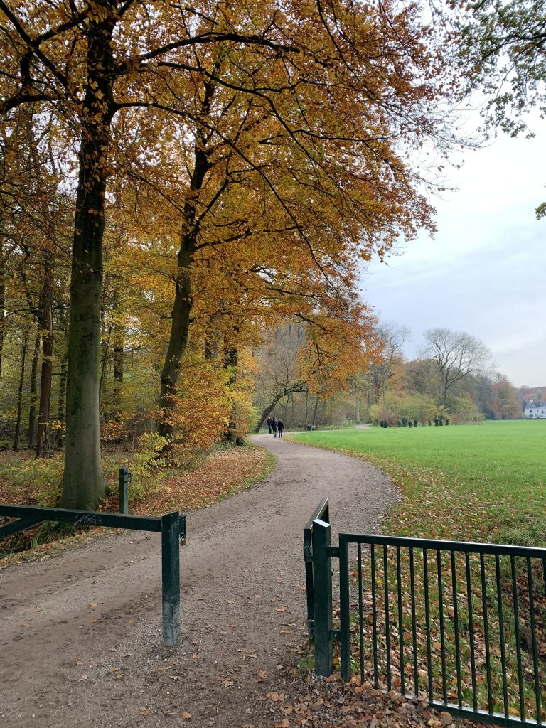 Een wandelpad in Amelisweerd