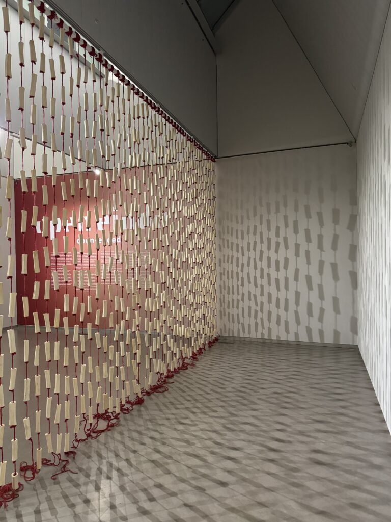 Een gordijn van rode draden met botten. De schaduwen worden geprojecteerd op de muren